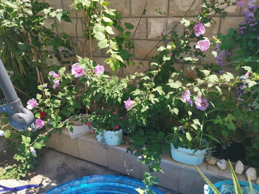 Makarska Blue Oasis Apartman 2-6 Luaran gambar